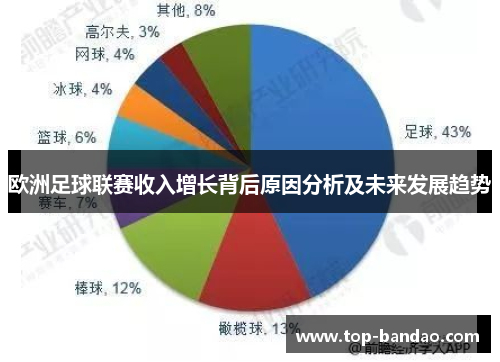 欧洲足球联赛收入增长背后原因分析及未来发展趋势