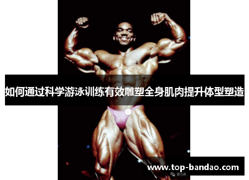 如何通过科学游泳训练有效雕塑全身肌肉提升体型塑造