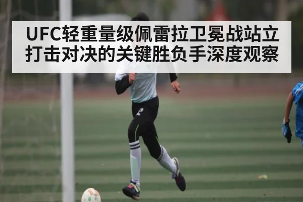 UFC轻重量级佩雷拉卫冕战站立打击对决的关键胜负手深度观察
